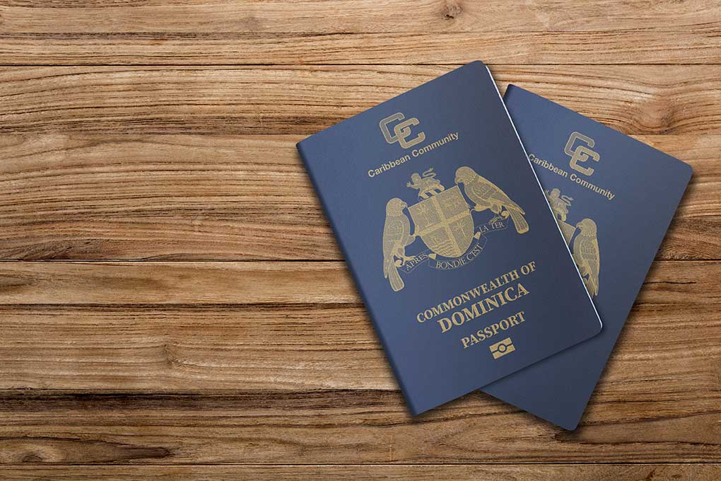 Benefits Of Having A Dual Passport In 2024 Passport Legacy   Benefits Of Having A Dual Passport 