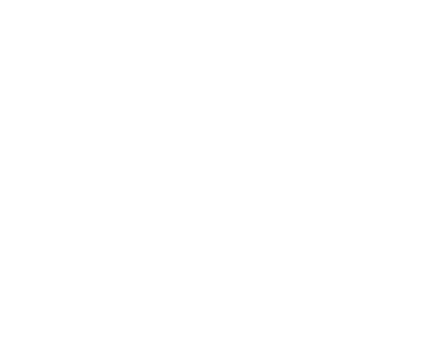 Canale Law